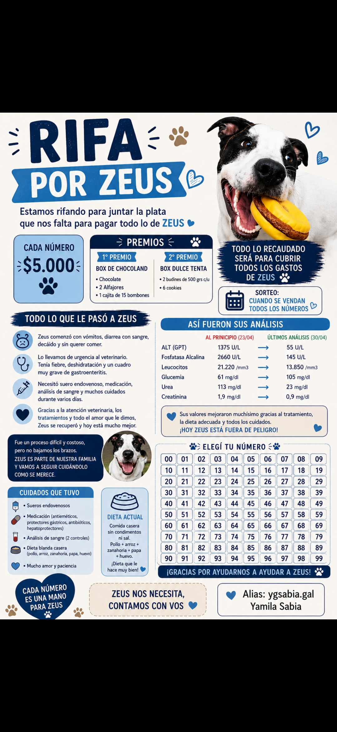 Por Zeus 🐶🐾